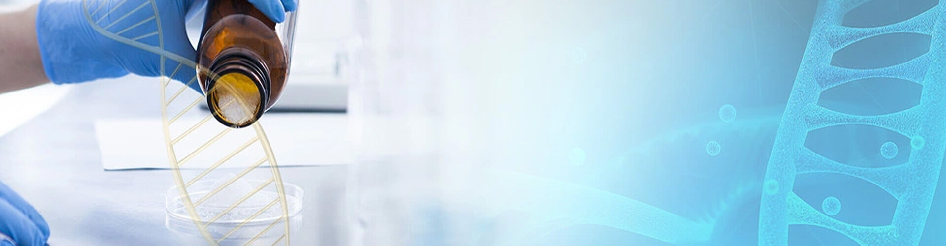 Ascent Petrochem Holdings Co., Limited